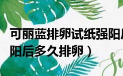 可丽蓝排卵试纸强阳后多久排卵（排卵试纸强阳后多久排卵）