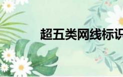 超五类网线标识（超五类网线）