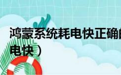 鸿蒙系统耗电快正确的解决方法（鸿蒙系统耗电快）