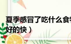 夏季感冒了吃什么食物最好（夏季感冒吃什么好的快）