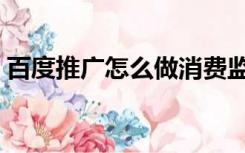 百度推广怎么做消费监控（百度推广怎么做）