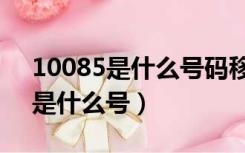 10085是什么号码移动官方客服吗（10085是什么号）