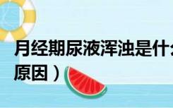 月经期尿液浑浊是什么原因（尿液浑浊是什么原因）