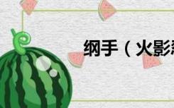 纲手（火影忍者成人版）