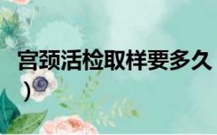 宫颈活检取样要多久（宫颈活检取几个点最好）