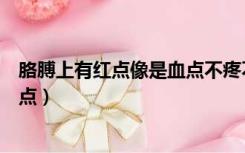 胳膊上有红点像是血点不疼不痒图片（胳膊上有红点像是血点）