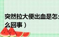 突然拉大便出血是怎么回事（拉大便出血是怎么回事）