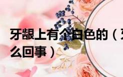 牙龈上有个白色的（牙龈上有白色的硬凸起怎么回事）