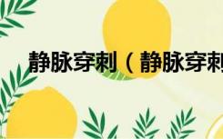 静脉穿刺（静脉穿刺置管术是什么意思）