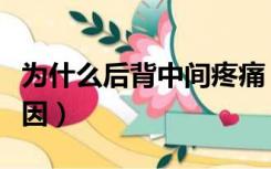 为什么后背中间疼痛（后背中间疼痛是什么原因）