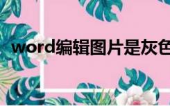 word编辑图片是灰色的（word编辑图片）