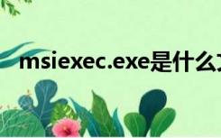 msiexec.exe是什么文件（msiexec.exe）
