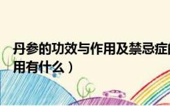 丹参的功效与作用及禁忌症的功效与作用（丹参的功效与作用有什么）