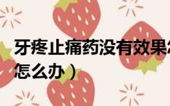 牙疼止痛药没有效果怎么办（牙痛止痛药没用怎么办）