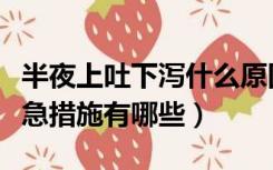 半夜上吐下泻什么原因引起（半夜上吐下泻应急措施有哪些）