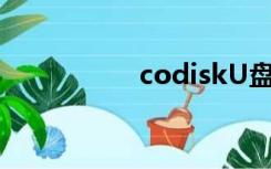 codiskU盘（codisk）