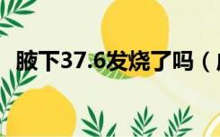 腋下37.6发烧了吗（成年人体温多少正常）