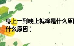 身上一到晚上就痒是什么原因引起的（身上一到晚上就痒是什么原因）
