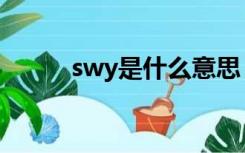 swy是什么意思（swyh 10086）
