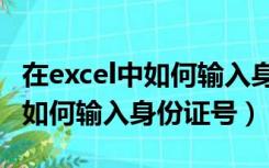 在excel中如何输入身份证号查询（在excel中如何输入身份证号）