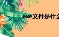 exe文件是什么（tadb.exe）