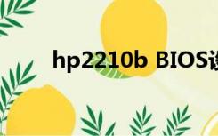 hp2210b BIOS设置（hp 2210b）