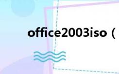office2003iso（office2003教程）