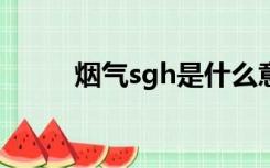 烟气sgh是什么意思（sgh-j708）