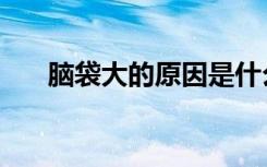 脑袋大的原因是什么（脑袋大的原因）