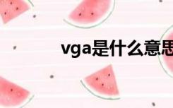 vga是什么意思（vga是什么）