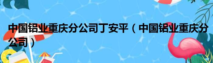 中国铝业重庆分公司丁安平（中国铝业重庆分公司）