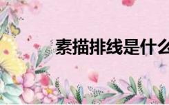 素描排线是什么（排线是什么）