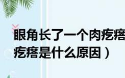 眼角长了一个肉疙瘩怎么办?（眼角长了个肉疙瘩是什么原因）