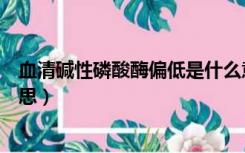 血清碱性磷酸酶偏低是什么意思（碱性磷酸酶偏低是什么意思）