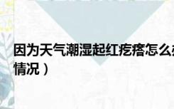 因为天气潮湿起红疙瘩怎么办（天气潮湿皮肤起疙瘩是什么情况）