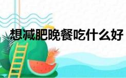 想减肥晚餐吃什么好（减肥不能吃米饭吗）