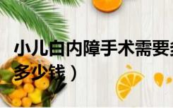 小儿白内障手术需要多少钱（白内障手术需要多少钱）