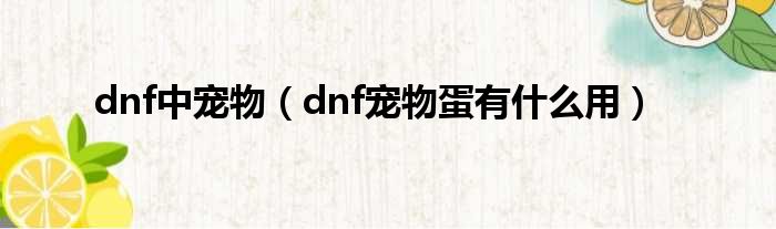 dnf中宠物（dnf宠物蛋有什么用）