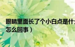 眼睛里面长了个小白点是什么东西（眼睛里面长了个小白点怎么回事）