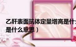 乙肝表面抗体定量增高是什么意思（乙肝表面抗体定量偏高是什么意思）