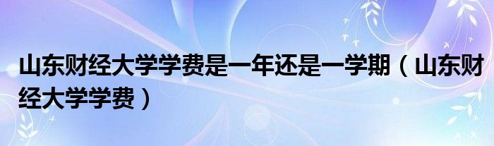 山东财经大学学费是一年还是一学期（山东财经大学学费）