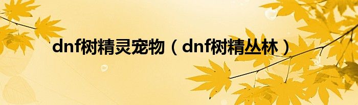 dnf树精灵宠物（dnf树精丛林）