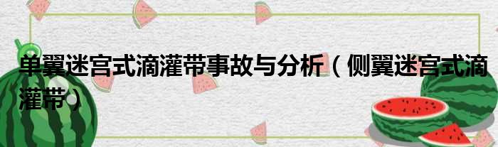 单翼迷宫式滴灌带事故与分析（侧翼迷宫式滴灌带）