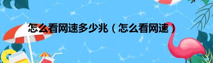 怎么看网速多少兆（怎么看网速）