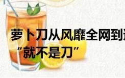 萝卜刀从风靡全网到遭遇抵制 发明人挺委屈：“就不是刀”