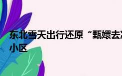 东北雪天出行还原“甄嬛去凌云峰”：出走半生，归来仍在小区