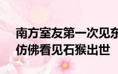 南方室友第一次见东北大雪激动撒欢 网友：仿佛看见石猴出世
