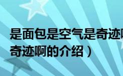 是面包是空气是奇迹啊（关于是面包是空气是奇迹啊的介绍）