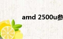 amd 2500u参数（amd250）