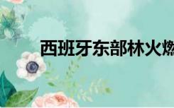 西班牙东部林火燃烧3天后得到控制